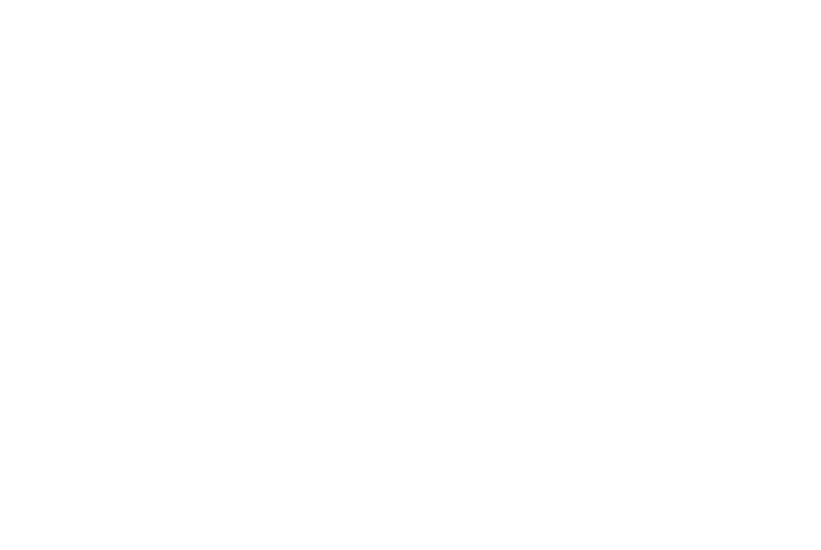 Sierra Pacific Windows