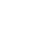 The Liquidators Company